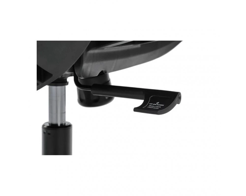 Кресло RV DESIGN Miro (6249A)