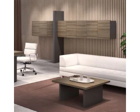 Кабинет руководителя Эра / Era images