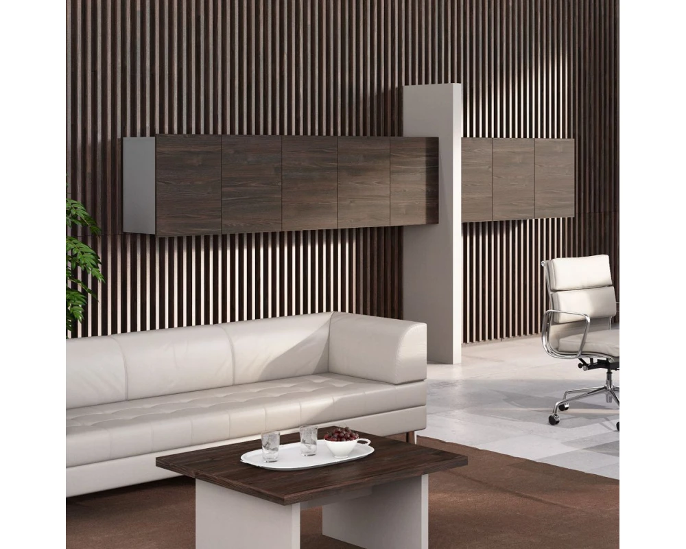 Кабинет руководителя Эра / Era