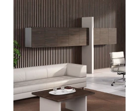 Кабинет руководителя Эра / Era images