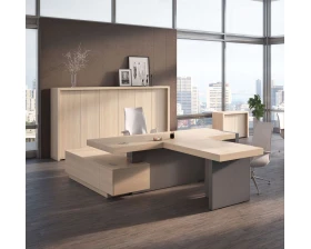 Кабинет руководителя Эра / Era images