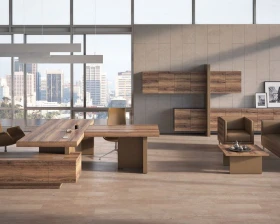 Кабинет руководителя Эра / Era images