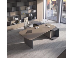 Кабинет руководителя Фостер / Foster images