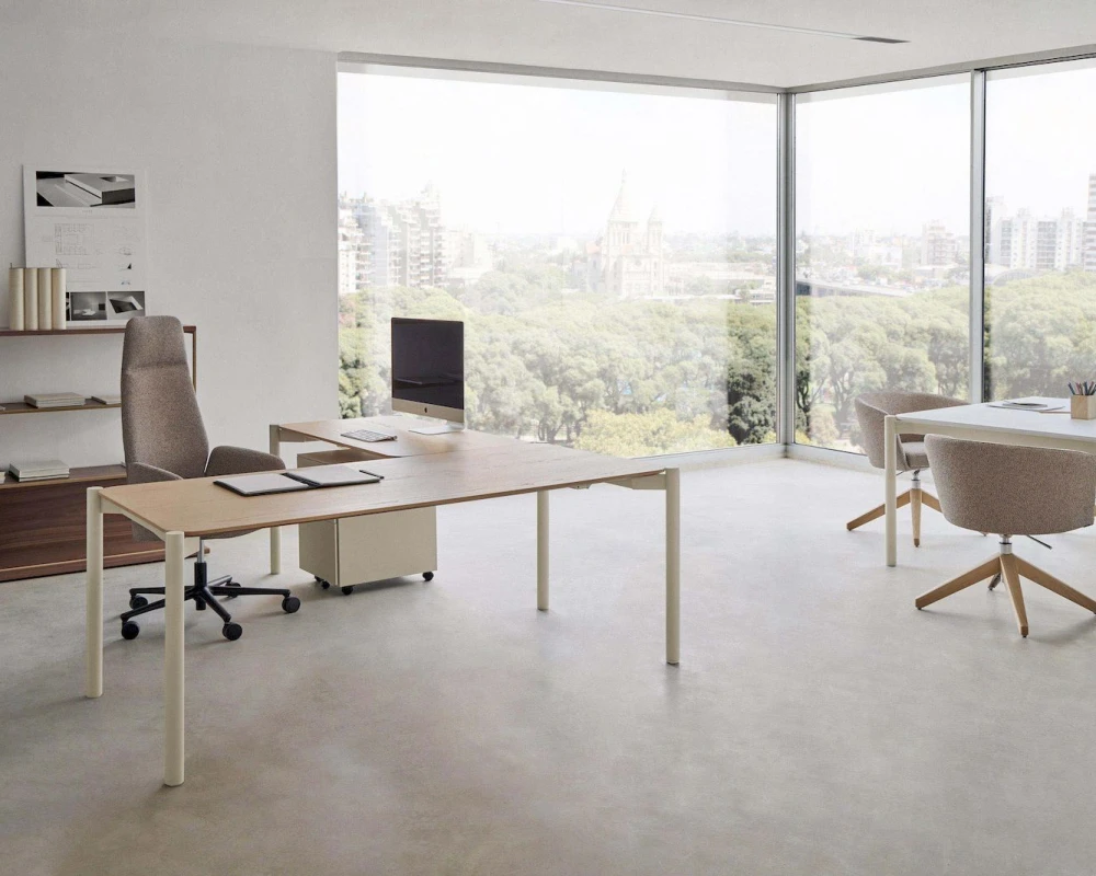 Кабинет руководителя Terra (of)