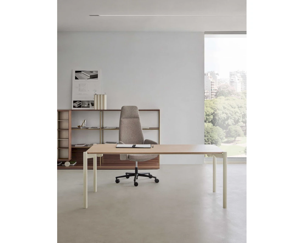 Кабинет руководителя Terra (of)