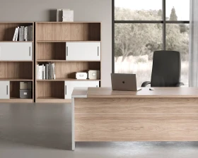 Кабинет руководителя Асти П / Asti P images