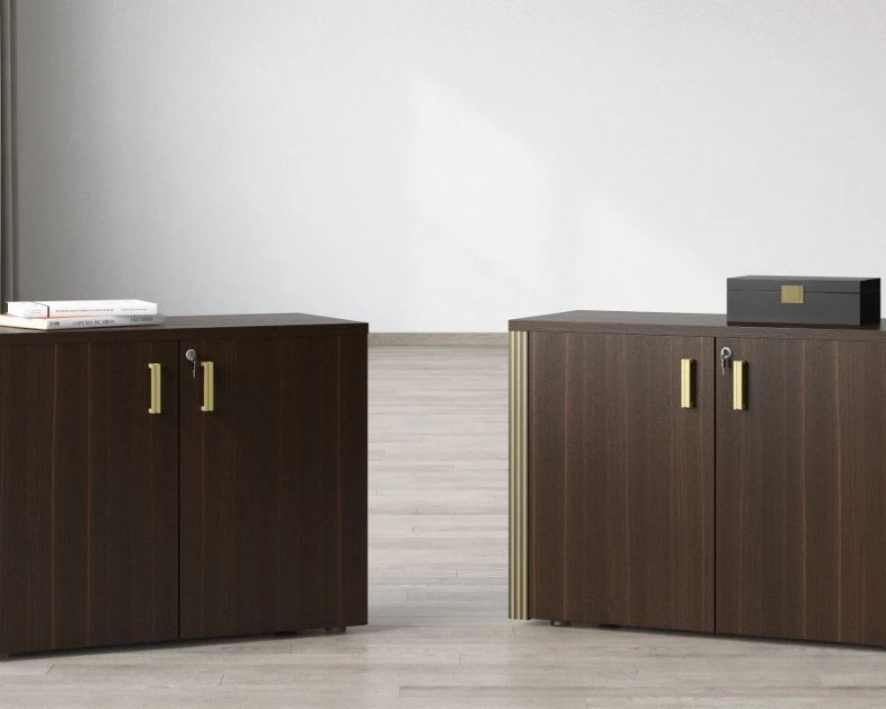 Кабинет руководителя Chicago