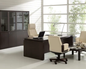 Кабинет руководителя Eur images