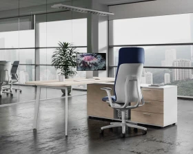 Кабинет руководителя Flex images