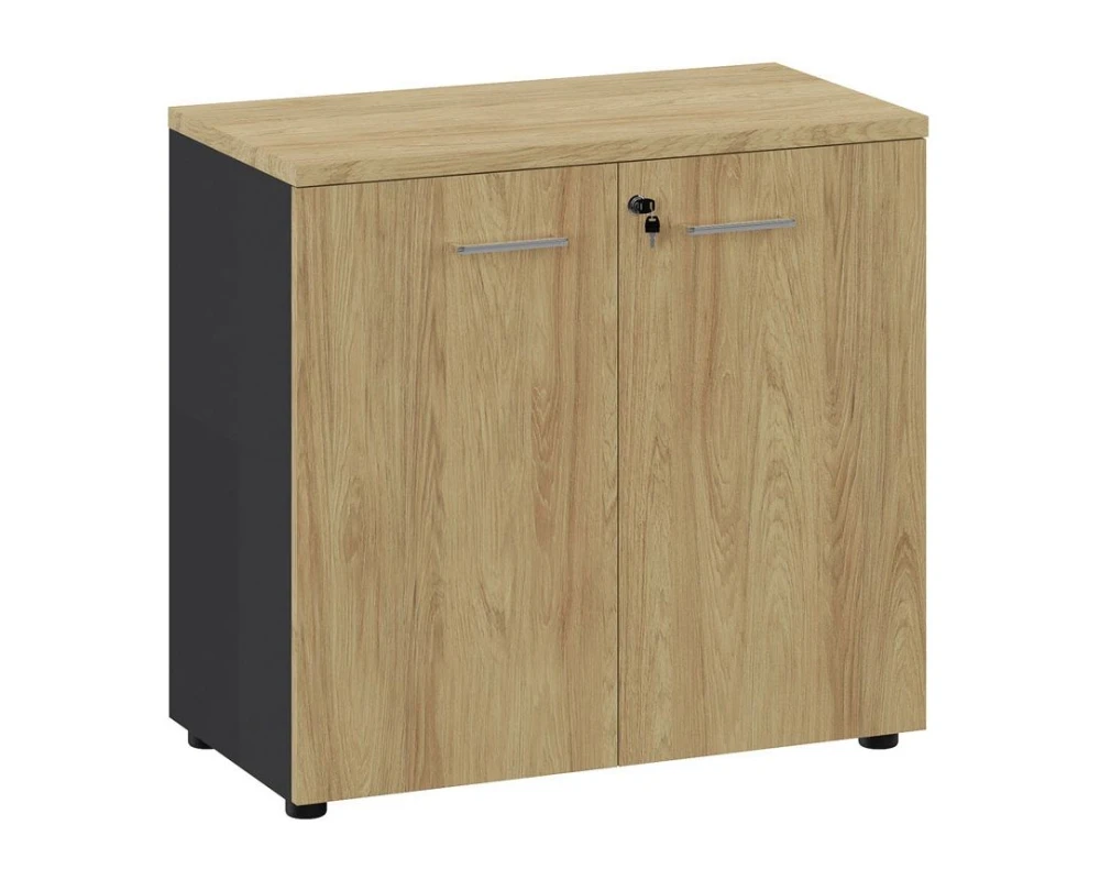 Шкаф низкий 21 80х42х76 Flex Гикори/Графит