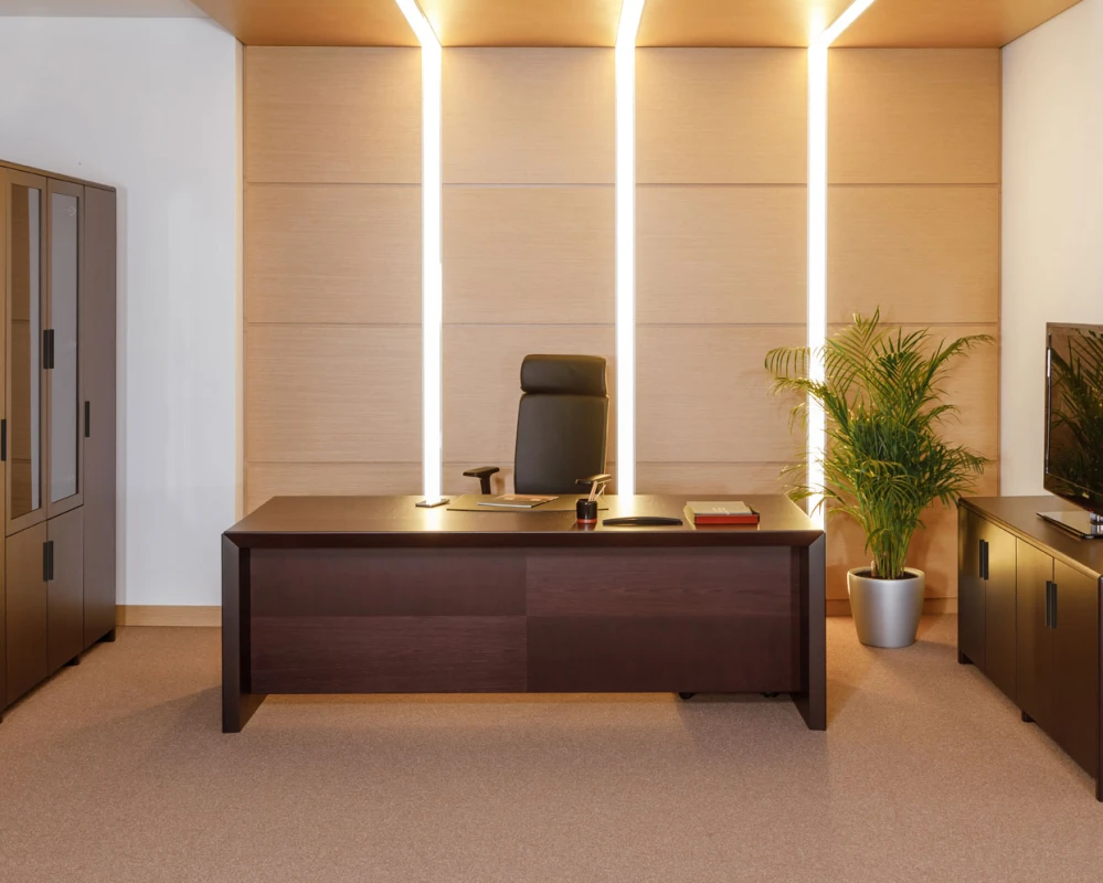 Кабинет руководителя Tempio