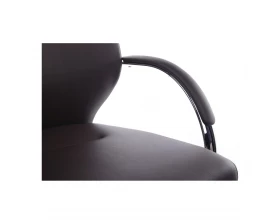 Кресло RV DESIGN Alonzo-CF (С1711) images