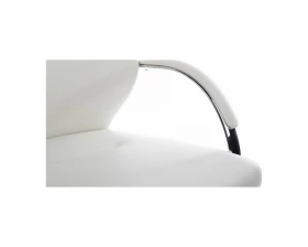 Кресло RV DESIGN Alonzo-CF (С1711) images