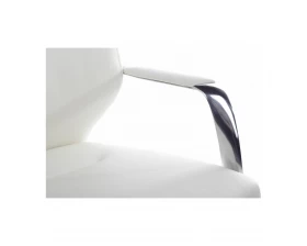 Кресло RV DESIGN Alonzo-M (В1711) images