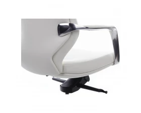 Кресло RV DESIGN Alonzo-M (В1711) images