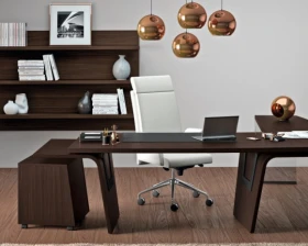 Кабинет руководителя Larus images