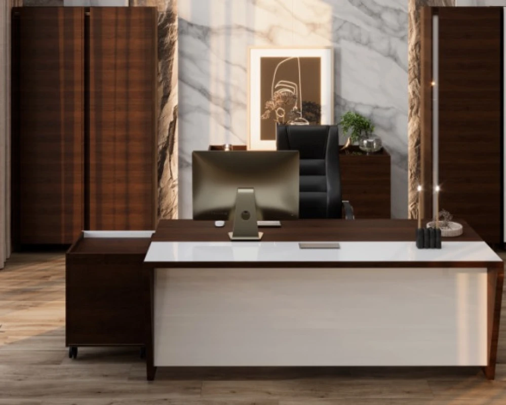 Кабинет руководителя Plaza Director