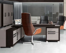 Кабинет руководителя Грейс / Grace images