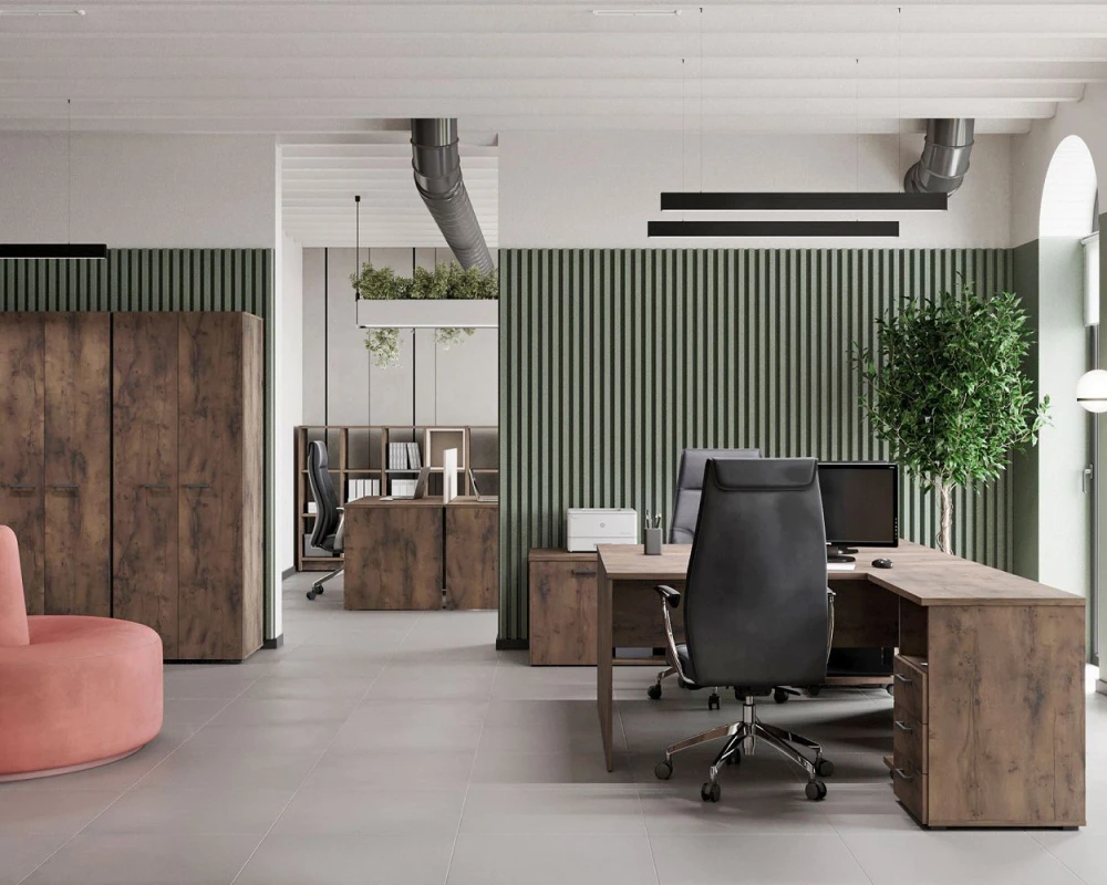 Кабинет руководителя Лемо / Lemo