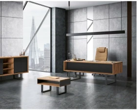 Кабинет руководителя Вена images