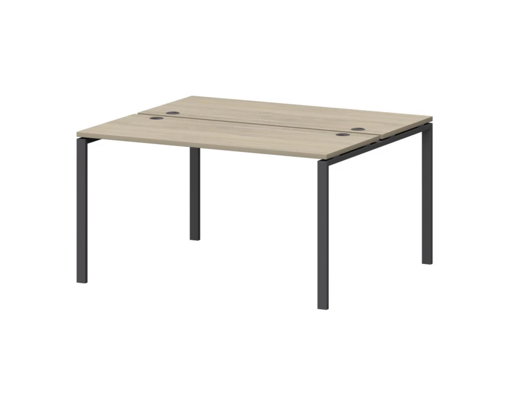 Бенч двойной на металлокаркасе СМС2-П-10К.120.Пр25 1000x1236x750 Смарт (pt)